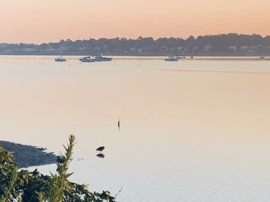 IMG_7215.jpg?type=w966