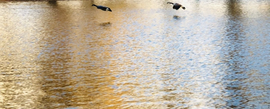 IMG_4420.jpg?type=w966