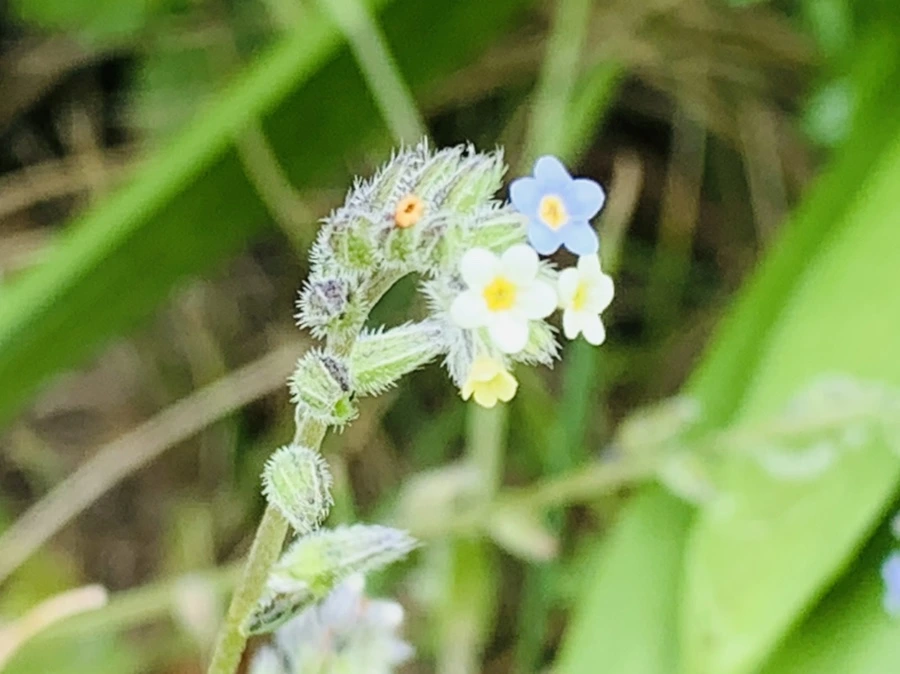 IMG_9588.jpg?type=w966