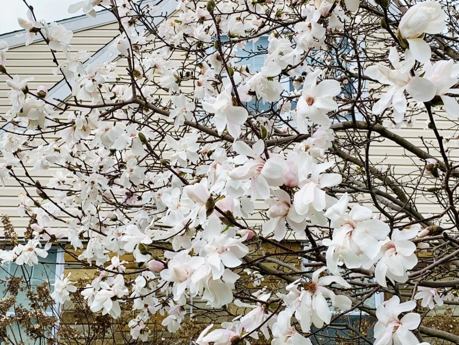 IMG_5926.jpg?type=w966