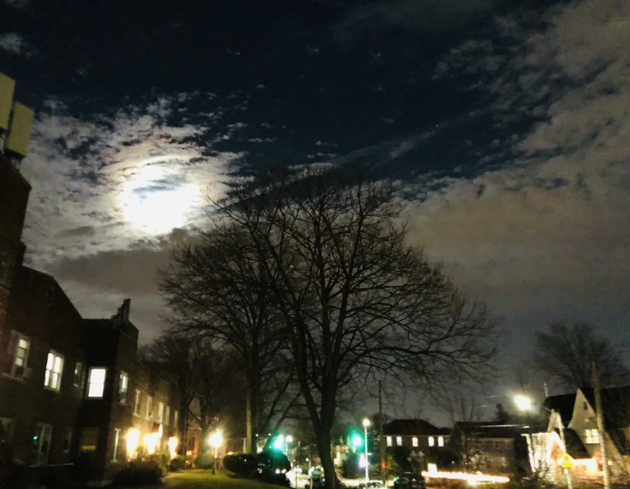 IMG_8578.jpg?type=w966