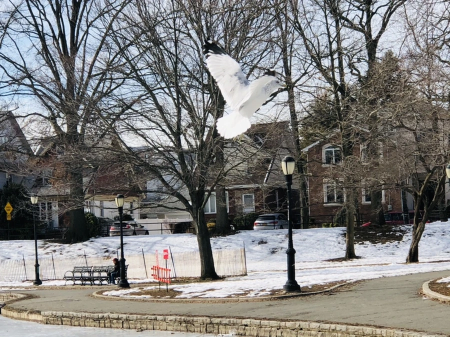 IMG_3183.jpg?type=w966