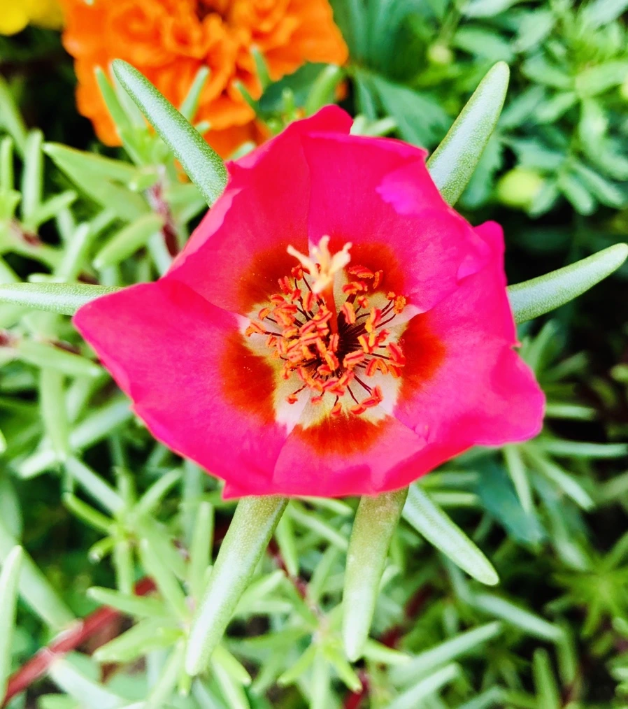 IMG_1456.jpg?type=w966