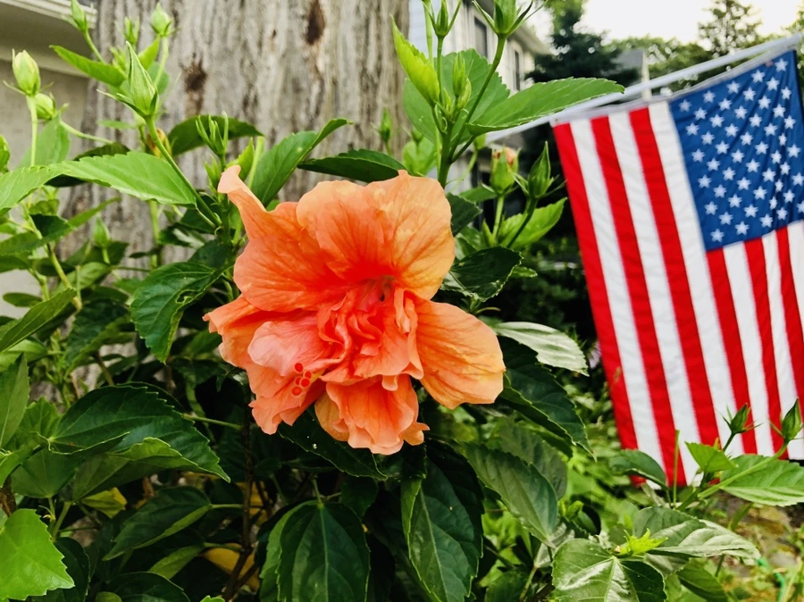 IMG_0823.jpg?type=w966