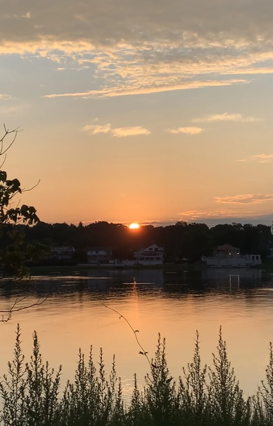 IMG_1257.jpg?type=w966