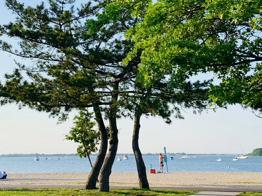 IMG_1287.jpg?type=w966