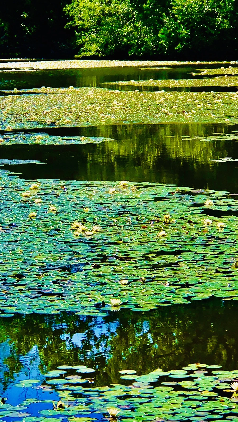 IMG_2346.jpg?type=w966