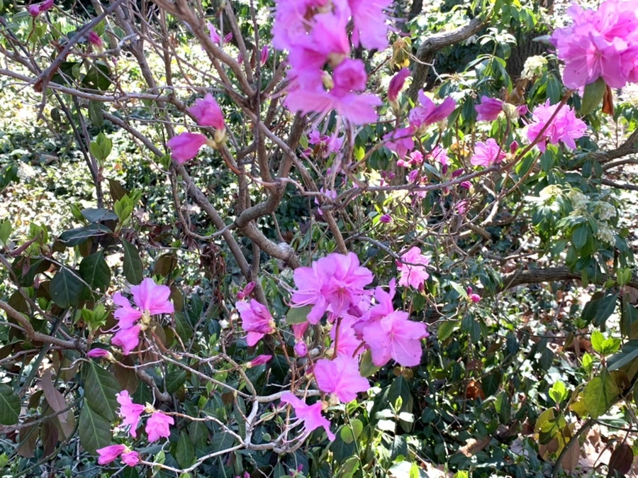 IMG_5635.jpg?type=w966