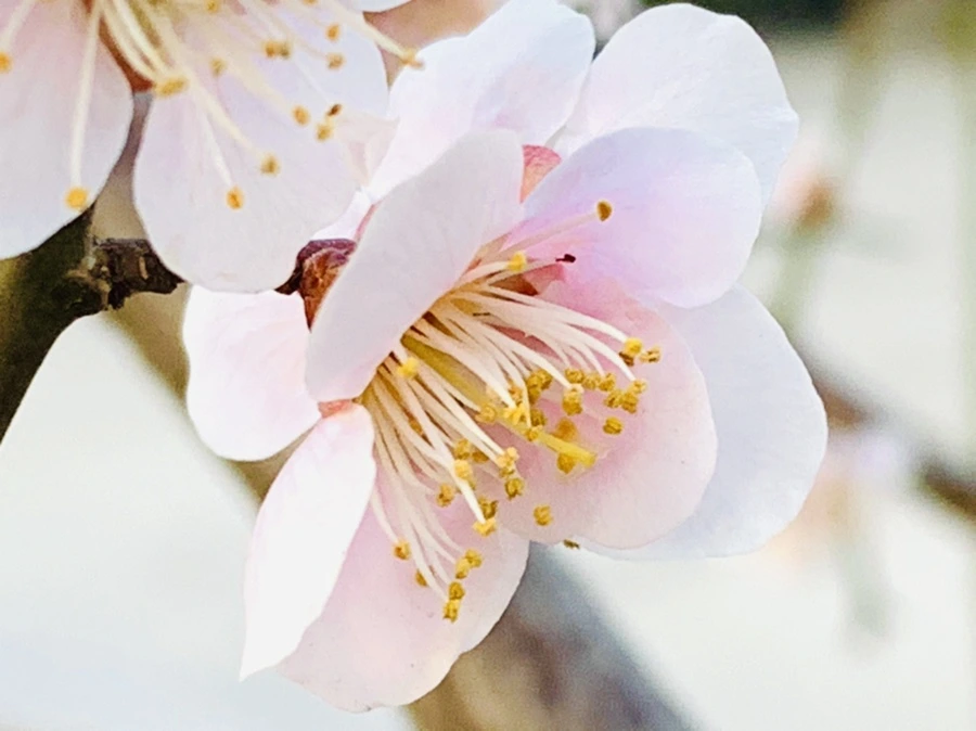 IMG_2285.jpg?type=w966