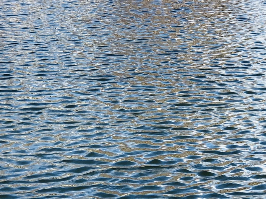 IMG_4060.jpg?type=w966