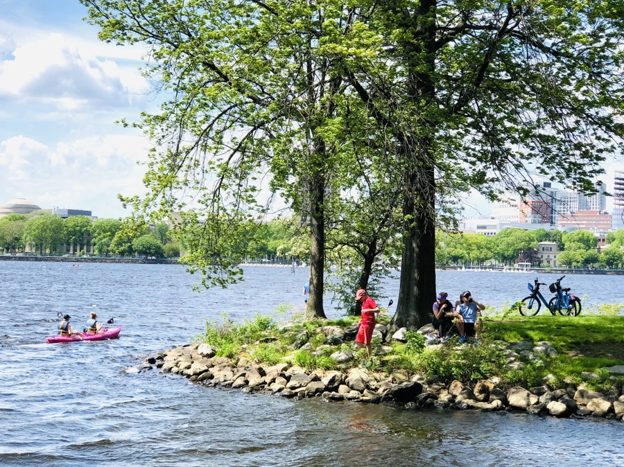 IMG_5238.jpg?type=w966