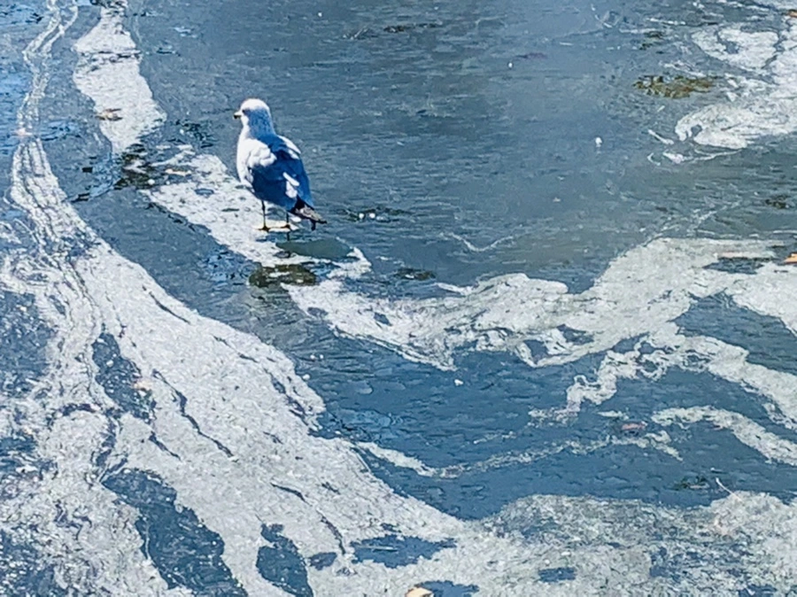 IMG_9024.jpg?type=w966