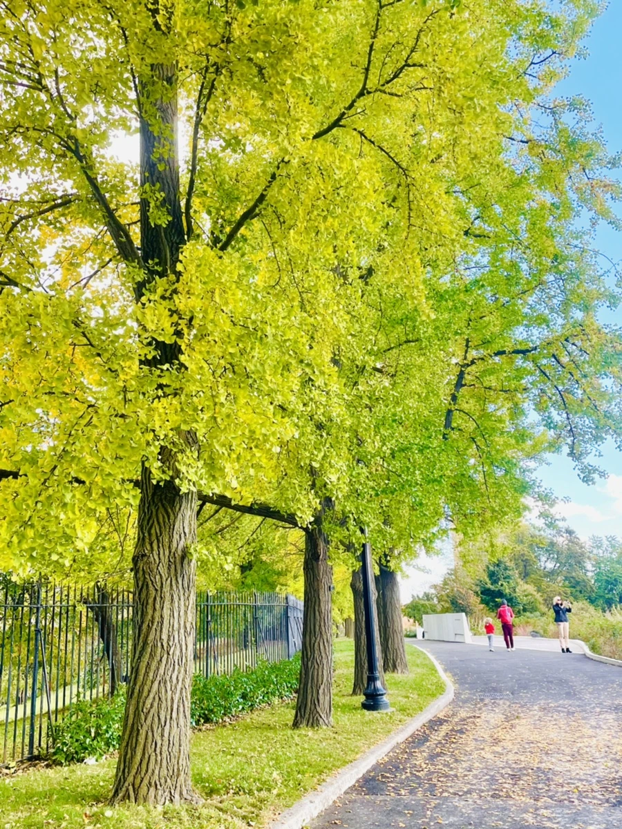 IMG_0137.jpg?type=w966