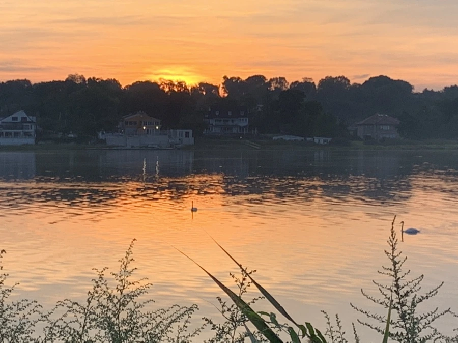 IMG_6810.jpg?type=w966