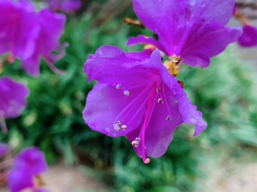 IMG_4843.jpg?type=w966