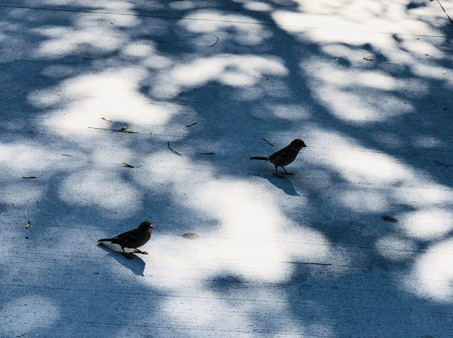 IMG_3476.jpg?type=w966