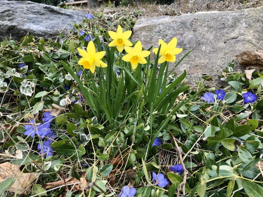 IMG_5997.jpg?type=w966