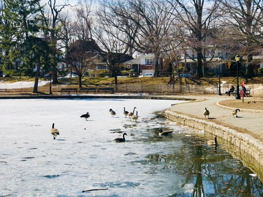 IMG_5035.jpg?type=w966