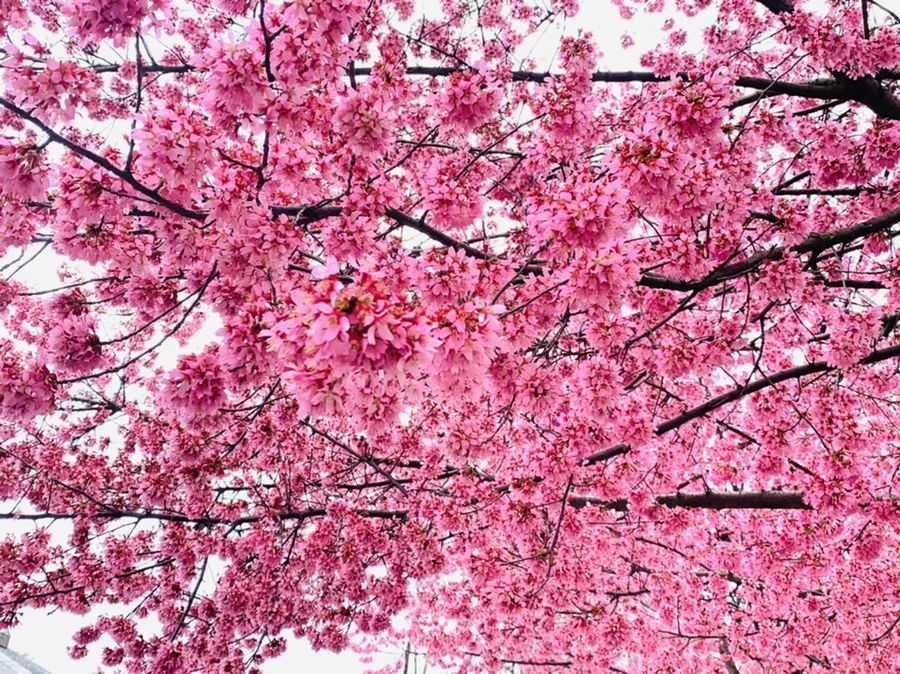 IMG_6279.jpg?type=w966