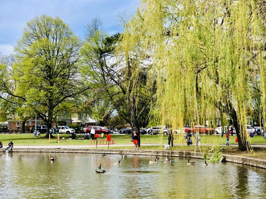 IMG_7225.jpg?type=w966