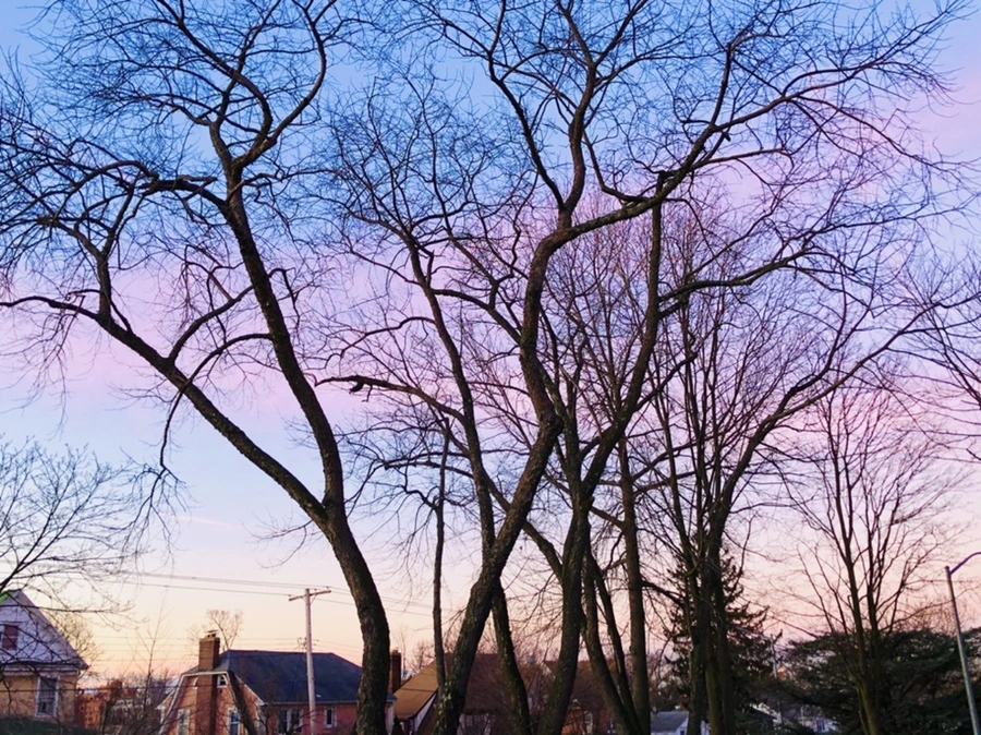 IMG_5610.jpg?type=w966