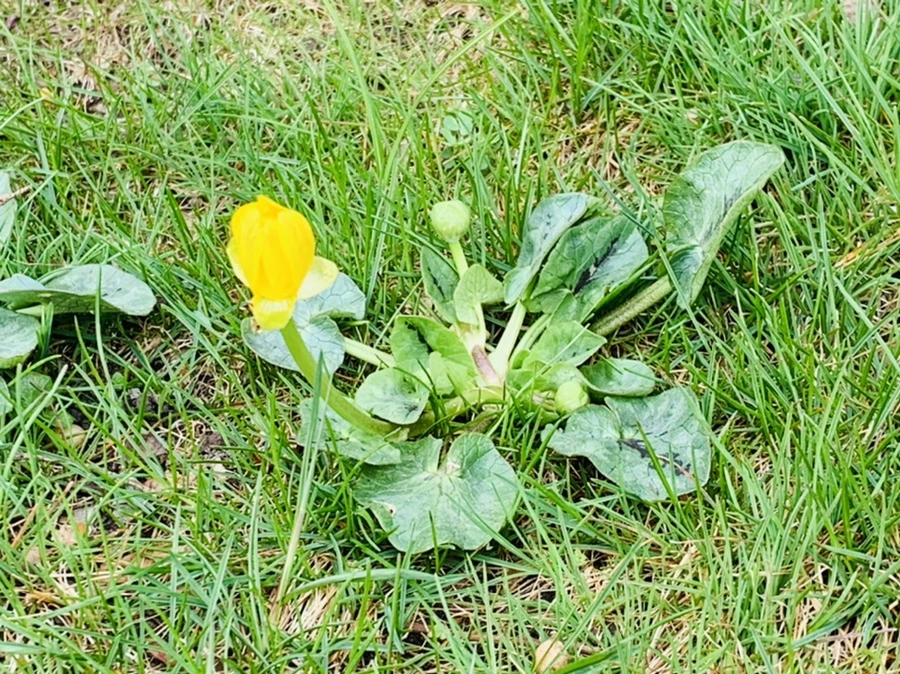 IMG_3505.jpg?type=w966