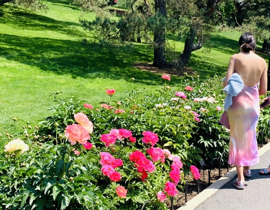 IMG_3981.jpg?type=w966