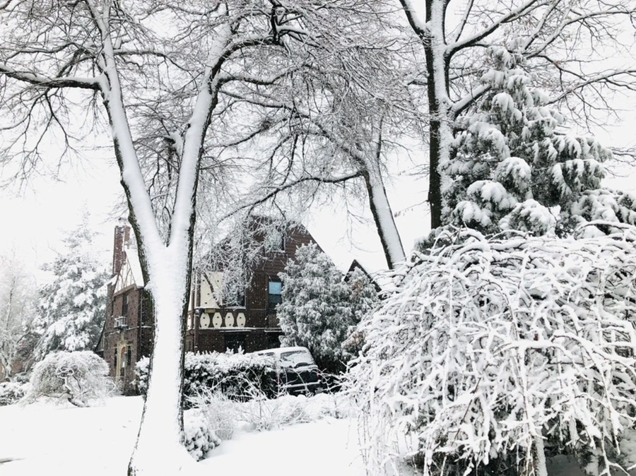 IMG_1014.jpg?type=w966