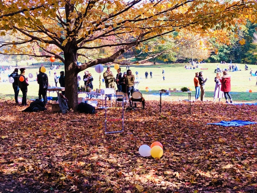 IMG_3216.jpg?type=w966