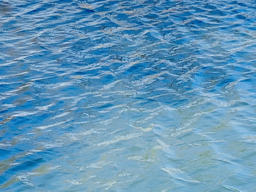 IMG_9894.jpg?type=w966