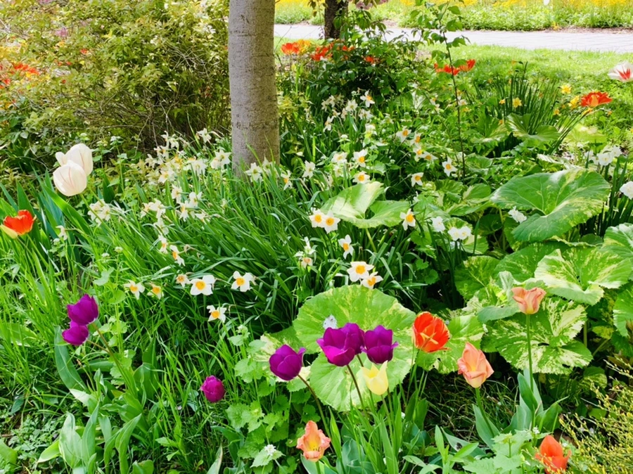 IMG_6878.jpg?type=w966