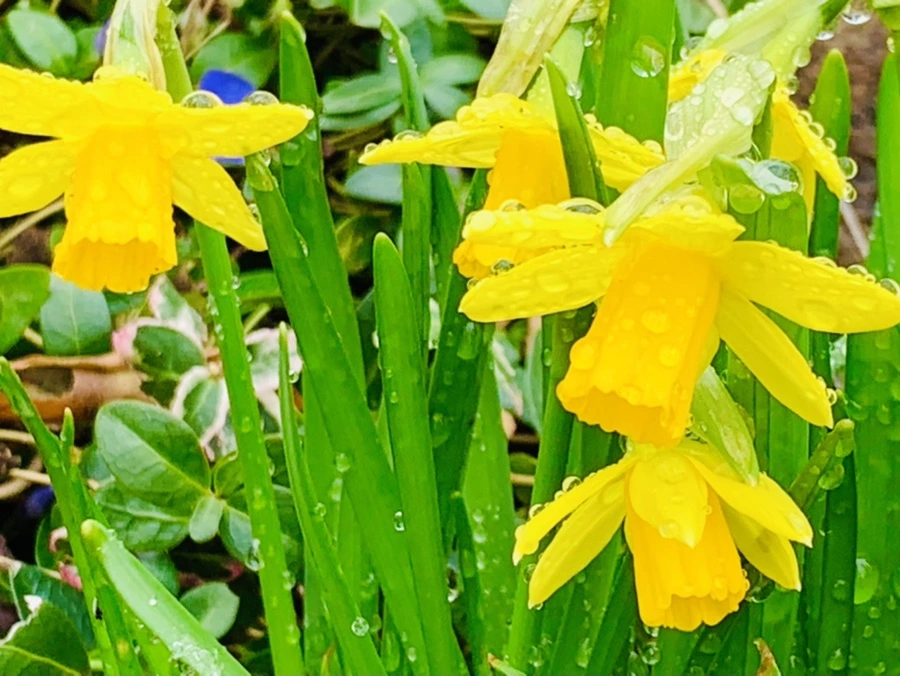 IMG_3718.jpg?type=w966