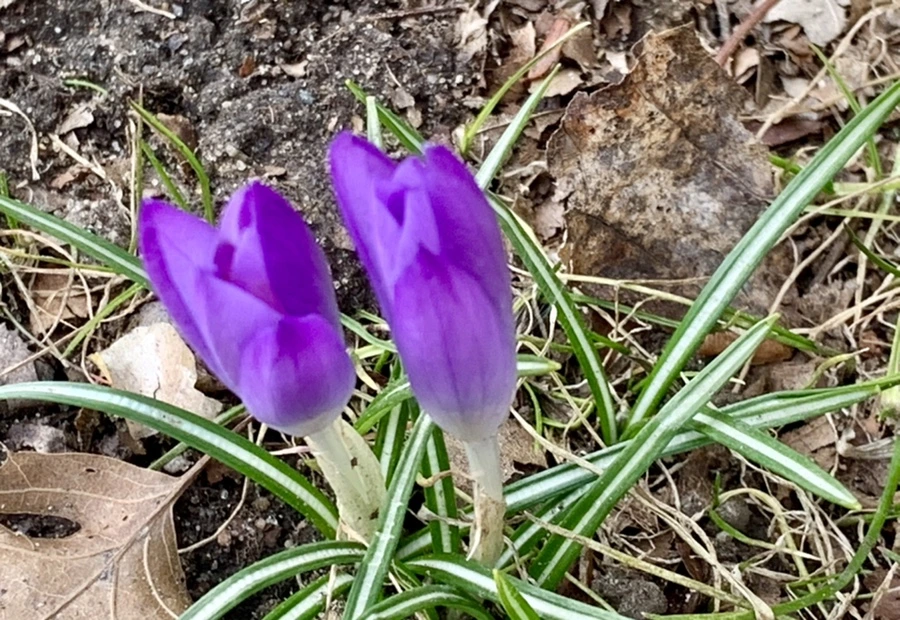 IMG_7083.jpg?type=w966