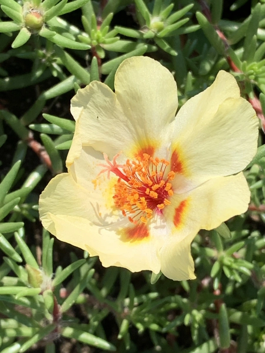 IMG_8389.jpg?type=w966