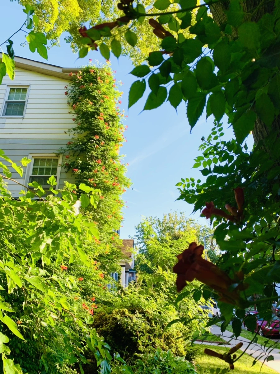 IMG_6498.jpg?type=w966