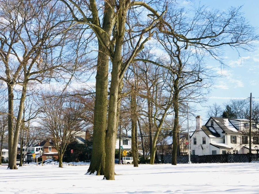 IMG_0122.jpg?type=w966