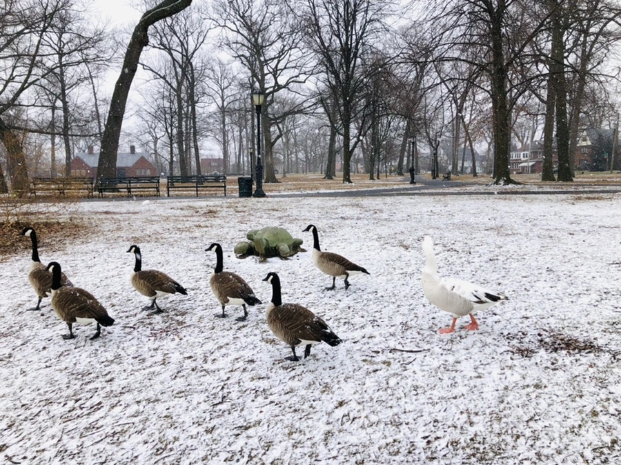 IMG_5950.jpg?type=w966