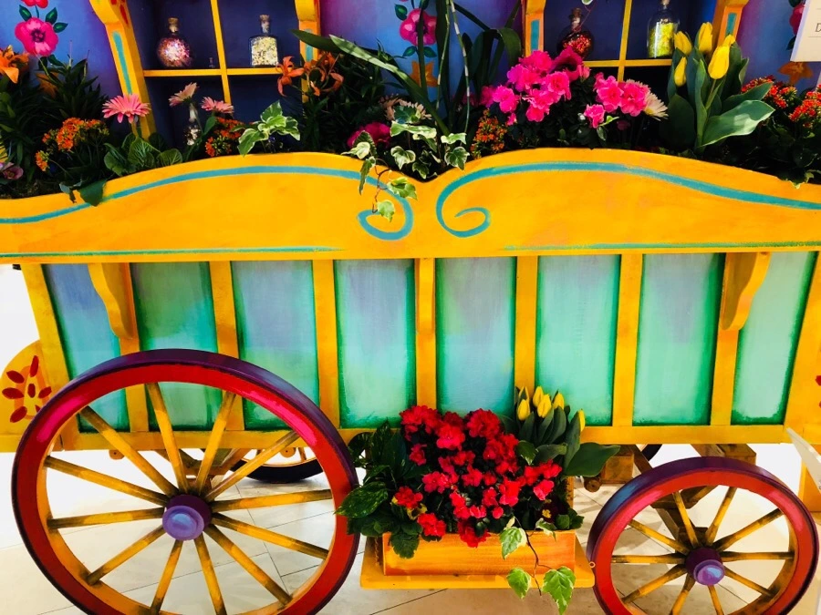 IMG_3706.jpg?type=w966