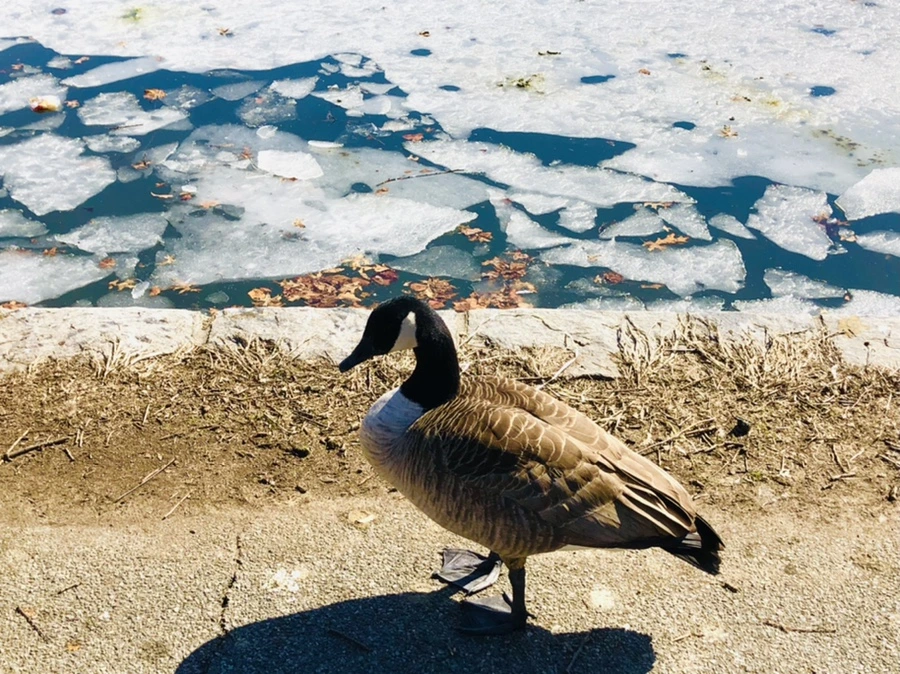 IMG_5111.jpg?type=w966