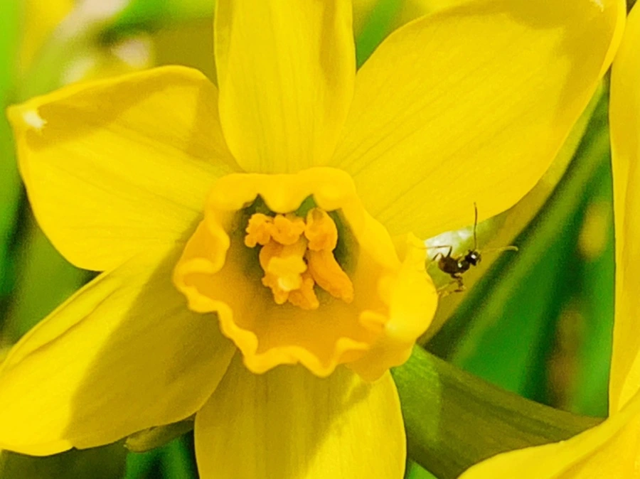 IMG_3424.jpg?type=w966