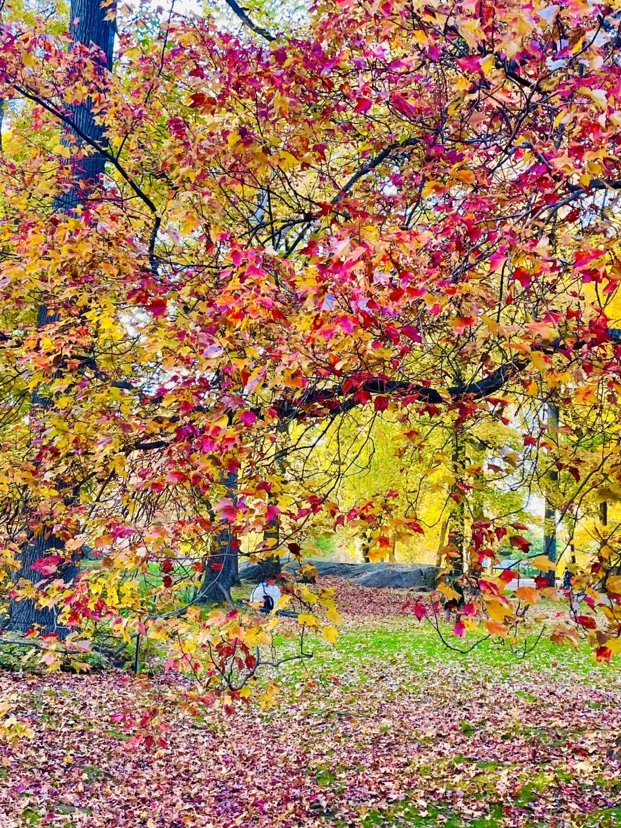 IMG_1851.jpg?type=w966