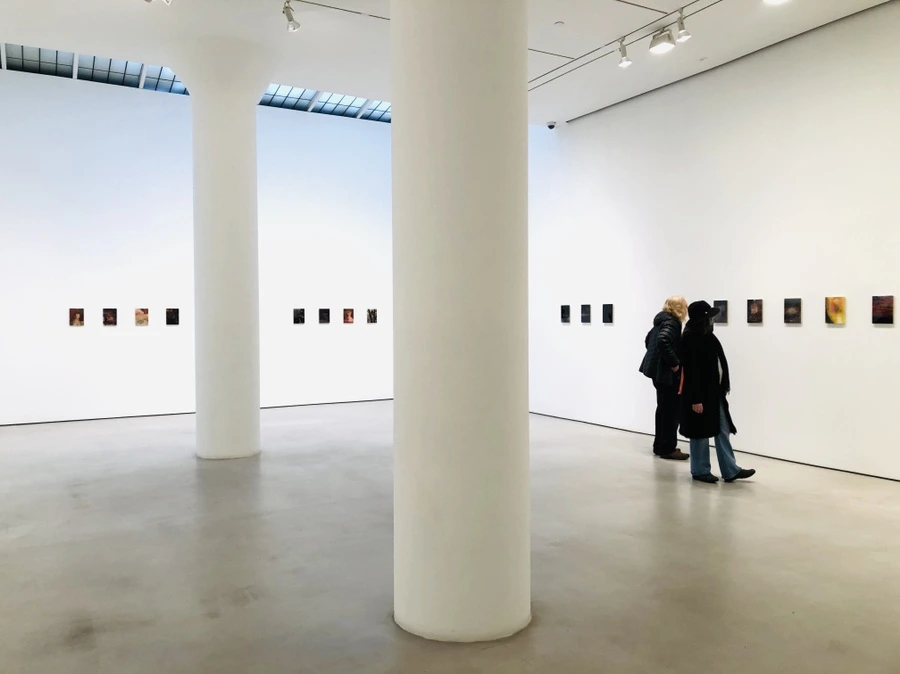 IMG_7484.jpg?type=w966