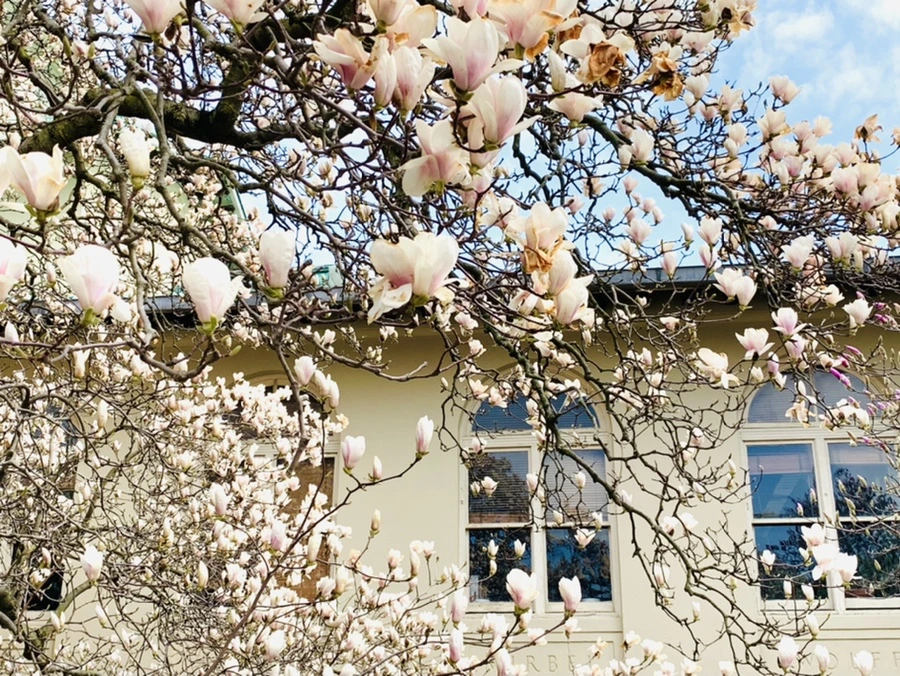 IMG_7208.jpg?type=w966