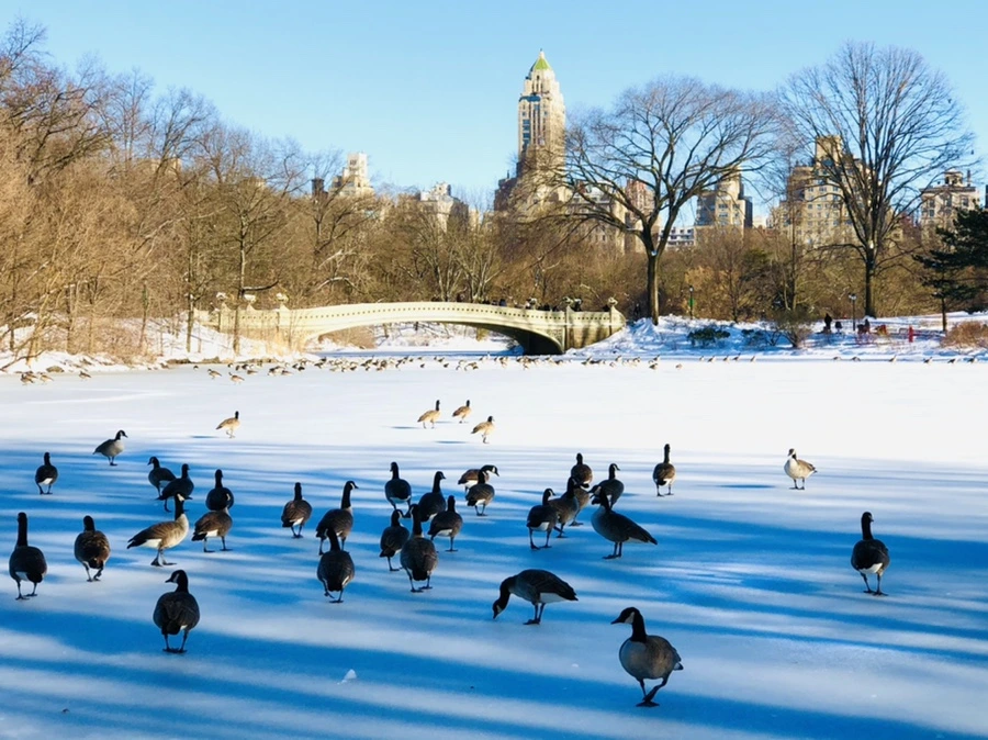 IMG_9934.jpg?type=w966