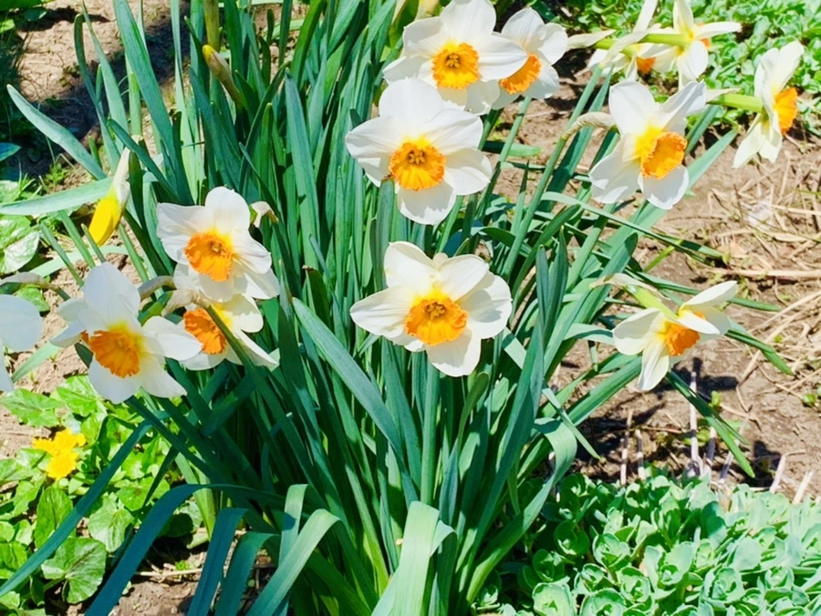 IMG_8582.jpg?type=w966