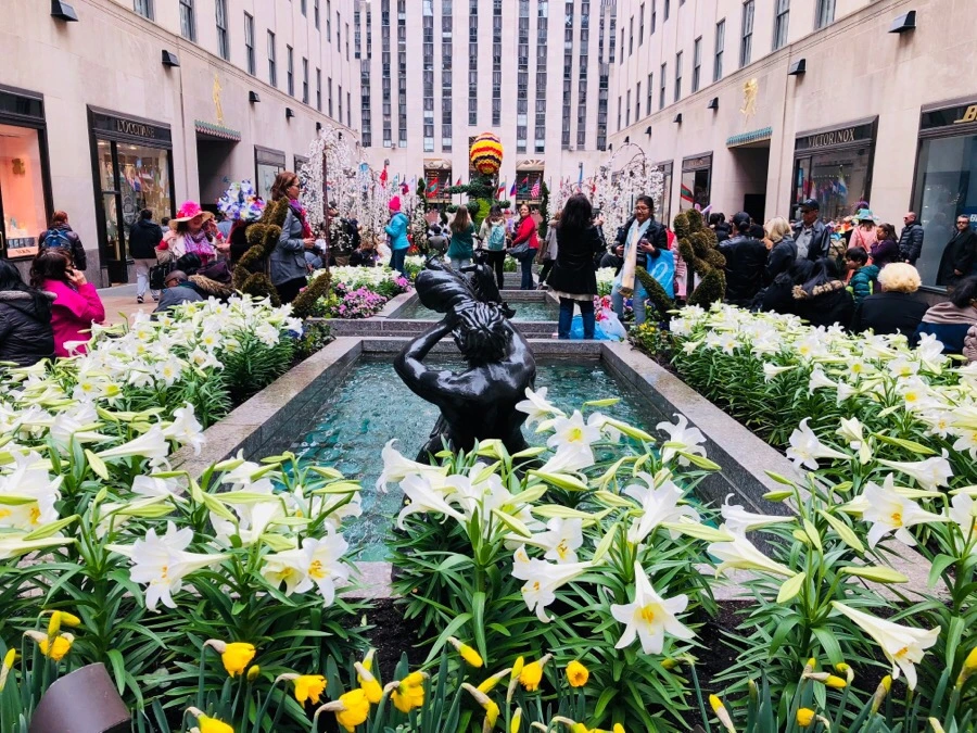 IMG_3997.jpg?type=w966