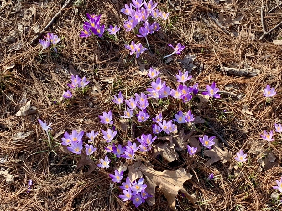 IMG_0408.jpg?type=w966