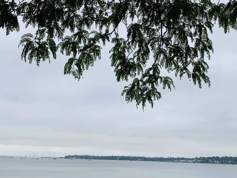 IMG_7101.jpg?type=w966