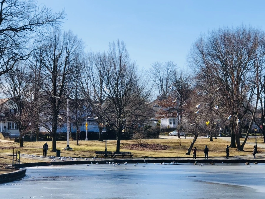 IMG_6561.jpg?type=w966