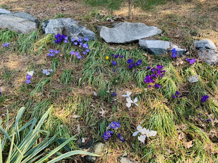 IMG_4360.jpg?type=w966